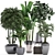 Exotic Plant Collection 3D model small image 1