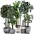 Exotic Plant Collection 3D model small image 3