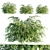 Graceful Cascading Phyllanthus Multiflorus 3D model small image 1