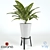 Natural Greenery: Plant & Pot 3D model small image 1