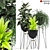 Exquisite MADRE SELVA GRANDE Plants 3D model small image 1