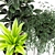 Exquisite MADRE SELVA GRANDE Plants 3D model small image 2