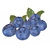 Blueberry Polygons: 28332 5.2cm x 4.19cm x 2.5cm 3D model small image 3