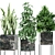 Exquisite Plants Collection MAIA 3D model small image 3