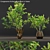 Conganania Axillaris Branches - Elegant Vase Decor 3D model small image 1