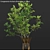 Conganania Axillaris Branches - Elegant Vase Decor 3D model small image 3