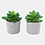 Eco-Friendly Live Plants 3D model small image 1
