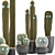 Exotic Cactus Collection 3D model small image 1