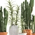 Exotic Cactus Collection: 302 Varieties 3D model small image 2