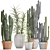 Exotic Cactus Collection: 302 Varieties 3D model small image 3