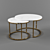 Marble Top Coffee Table: Two Roses 3D model small image 1