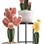 Exotic Cactus Collection 3D model small image 2