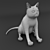 Grumpy Cat Contest: Enter Now! 3D model small image 3