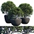 Greenery Delight: Potted Plant Trio 3D model small image 1