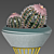 Golden Cactus Trio: Luxe 24K 3D model small image 2