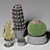 Desert Dreams Cactus Set 3D model small image 1