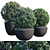 Gorgeous Potted Plant #2 3D model small image 1