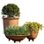 Lush Green Plant #6 in Chic Pots 3D model small image 1