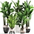Exotic Plant Collection: Banana Palm & Ravenala 3D model small image 1