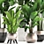Exotic Plant Collection: Banana Palm & Ravenala 3D model small image 2