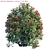 Vibrant Nerium Oleander Bush 3D model small image 2