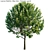 Grecian Laurel Bay Tree | 3ds Max Compatible 3D model small image 2