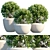 Leafy Oasis: Potted Plant #8 3D model small image 1