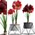 Exotic Hippeastrum Collection. 3D model small image 1