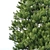 5 Majestic Pines for Stunning Landscape 3D model small image 3