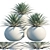 Succulent Collection: Agave 3D model small image 1