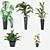 Exotic Houseplant Collection 3D model small image 2