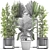 Exotic Indoor Plant Collection 3D model small image 3