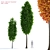 Vibrant Scarlet Scanlon Maple Tree 3D model small image 1