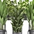 Exotic Houseplant Collection: Dypsis, Schefflera, Banana Palm 3D model small image 2