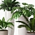 Tropical Indoor Plant Collection 3D model small image 2