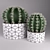 Title: Modern Potted Cactus 3D model small image 1