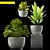 Maximize Your Greenery: 230 Plant Varieties 3D model small image 1