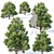 Low Poly Detailed Pine Collection 3D model small image 1