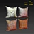 Gold Foil Designer Throw Pillows 3D model small image 2