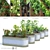 Title: Versatile Vegetable Garden Set 3D model small image 1