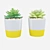 Duo Succulent Set: Potted Beauty 3D model small image 2