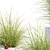 Mood Miscanthus: Potted Elegance 3D model small image 2