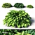 Beautiful Hosta Perennials for English Gardens 3D model small image 1