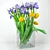 Blossoming Beauty: Iris and Tulip Bouquet 3D model small image 2