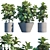 Ficus Lyrata: Elegant Potted Plant 3D model small image 1