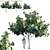 Fiddle-leaf Fig | Lifelike Ficus 3D model small image 1