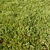 Realistic Translucent Grass Model 3D model small image 1