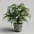 Exotic Chinese Fan Palm 3D model small image 1