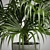 Exotic Chinese Fan Palm 3D model small image 2