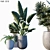 Lush Greenery: 3-Piece Plant Set 3D model small image 1